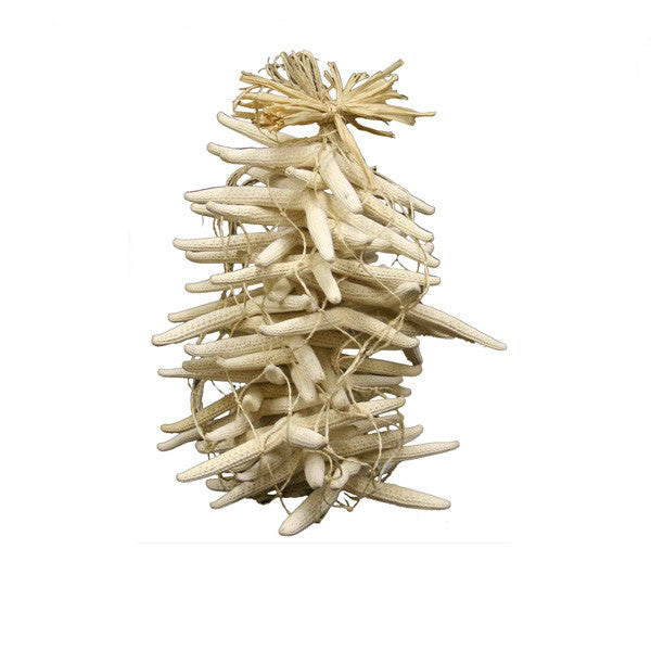 Starfish Pack of 24