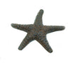 Cast Iron Starfish