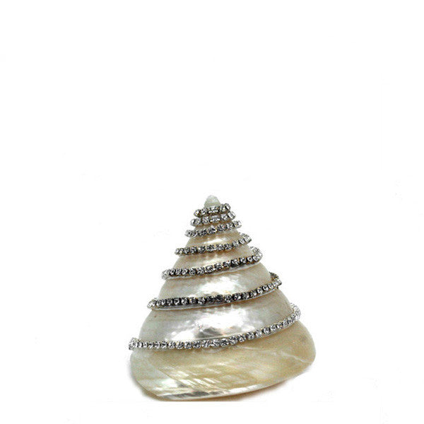 Jeweled Trocha Shell