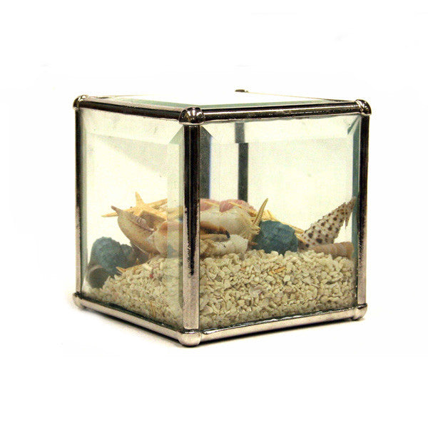 Sand Terrarium With Shells